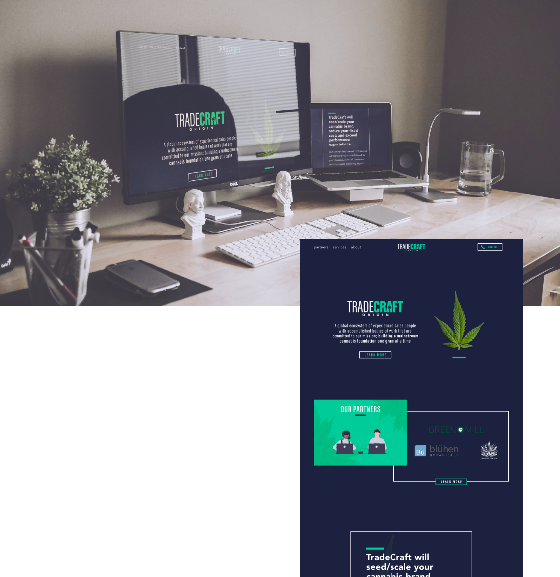 Cannabis Website Design